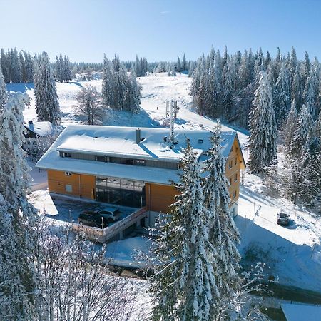 Stube9 Am Feldberg, Direkt An Der Skipiste, Ski In-Ski Out 费尔德伯格 外观 照片