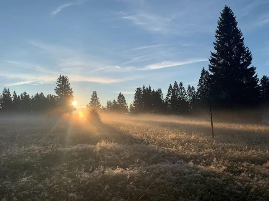 Stube9 Am Feldberg, Direkt An Der Skipiste, Ski In-Ski Out 费尔德伯格 外观 照片