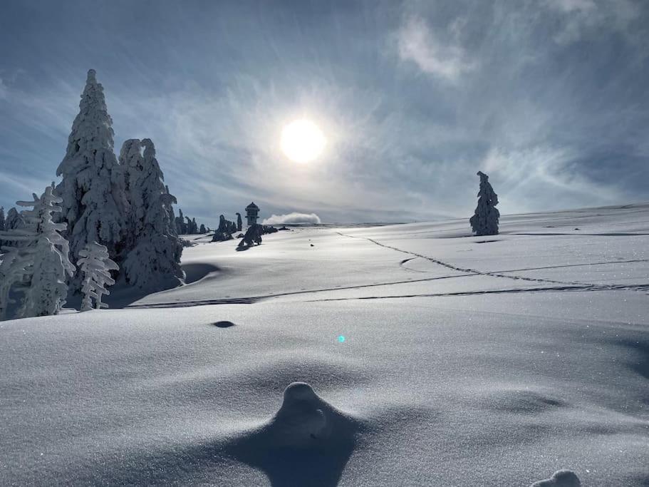 Stube9 Am Feldberg, Direkt An Der Skipiste, Ski In-Ski Out 费尔德伯格 外观 照片