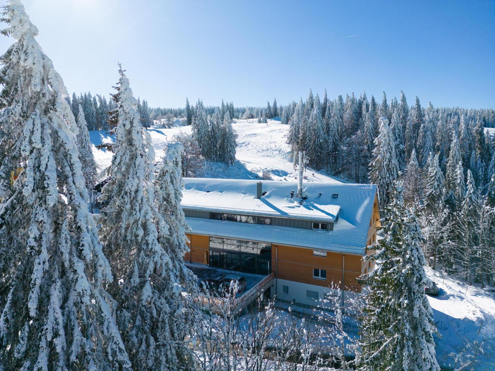Stube9 Am Feldberg, Direkt An Der Skipiste, Ski In-Ski Out 费尔德伯格 外观 照片