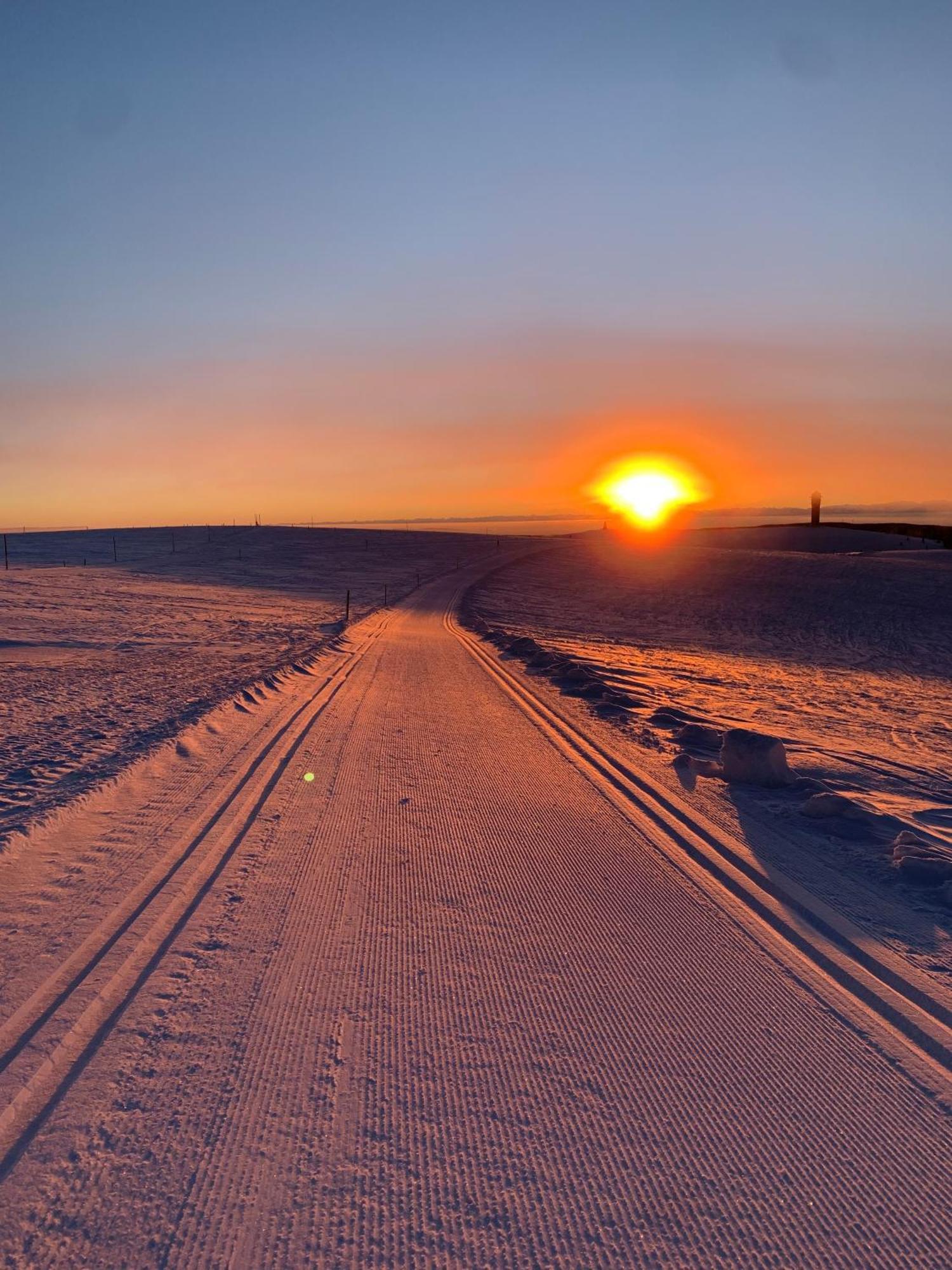 Stube9 Am Feldberg, Direkt An Der Skipiste, Ski In-Ski Out 费尔德伯格 外观 照片