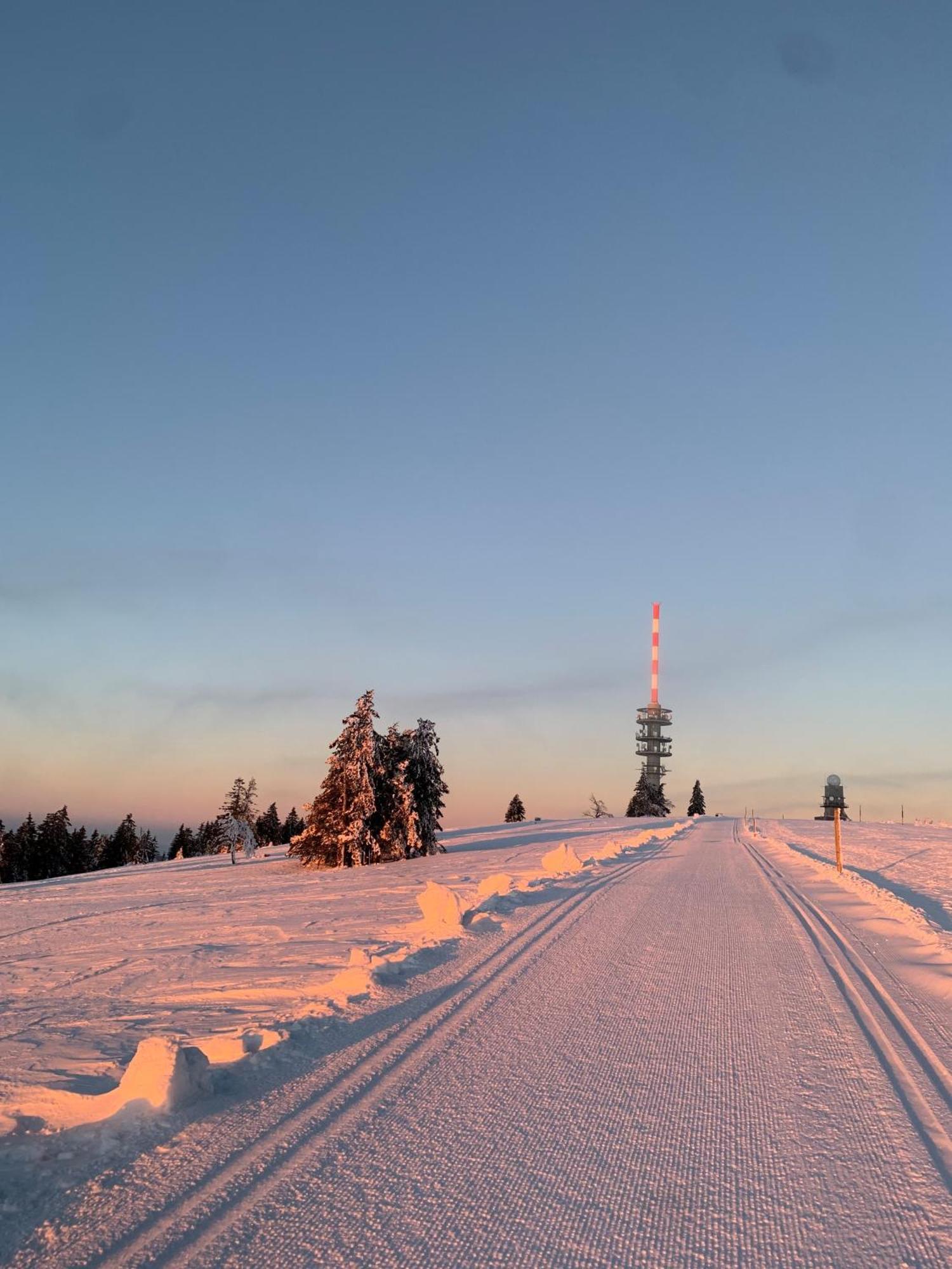 Stube9 Am Feldberg, Direkt An Der Skipiste, Ski In-Ski Out 费尔德伯格 外观 照片
